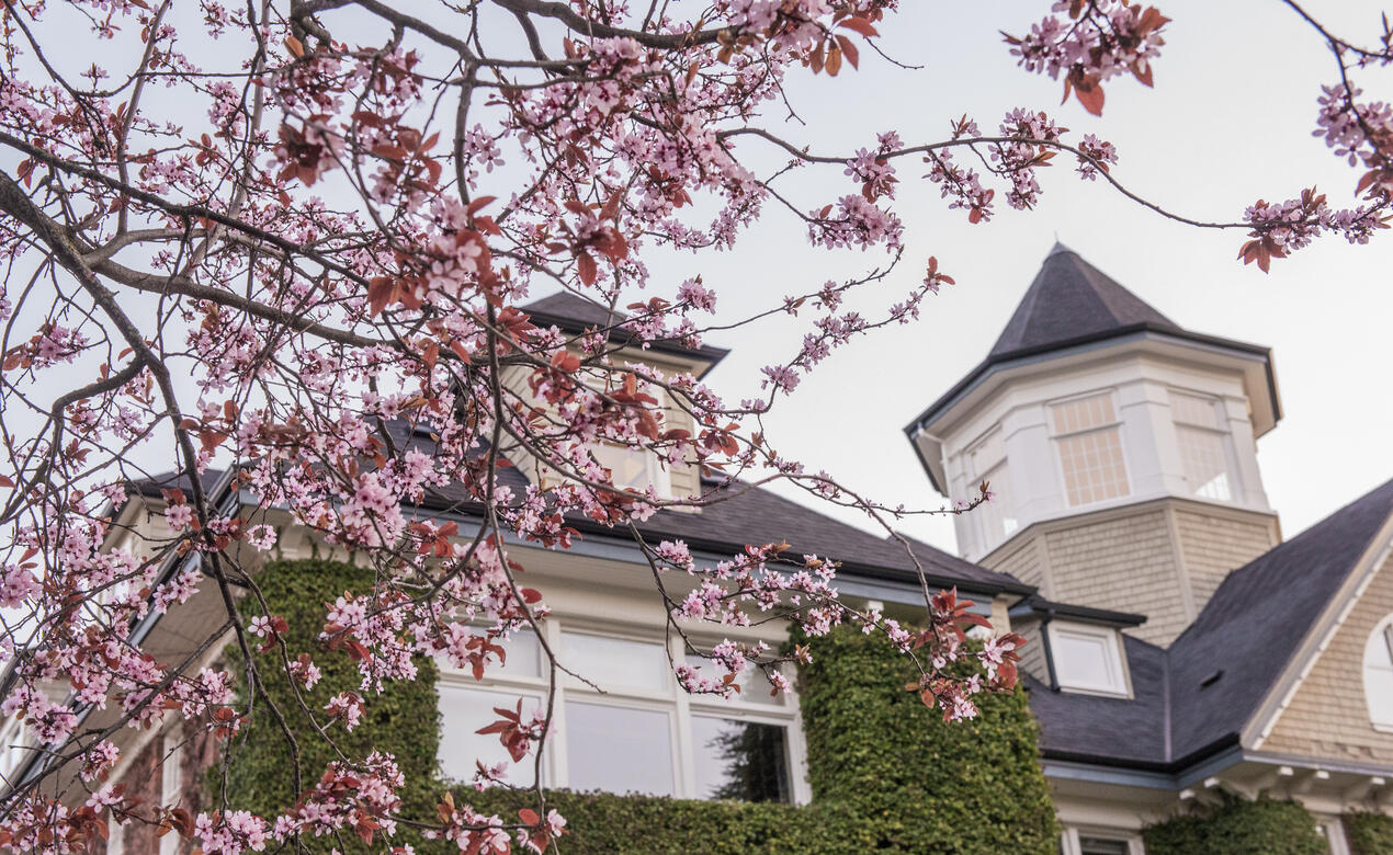 School House framed by cherry blossoms