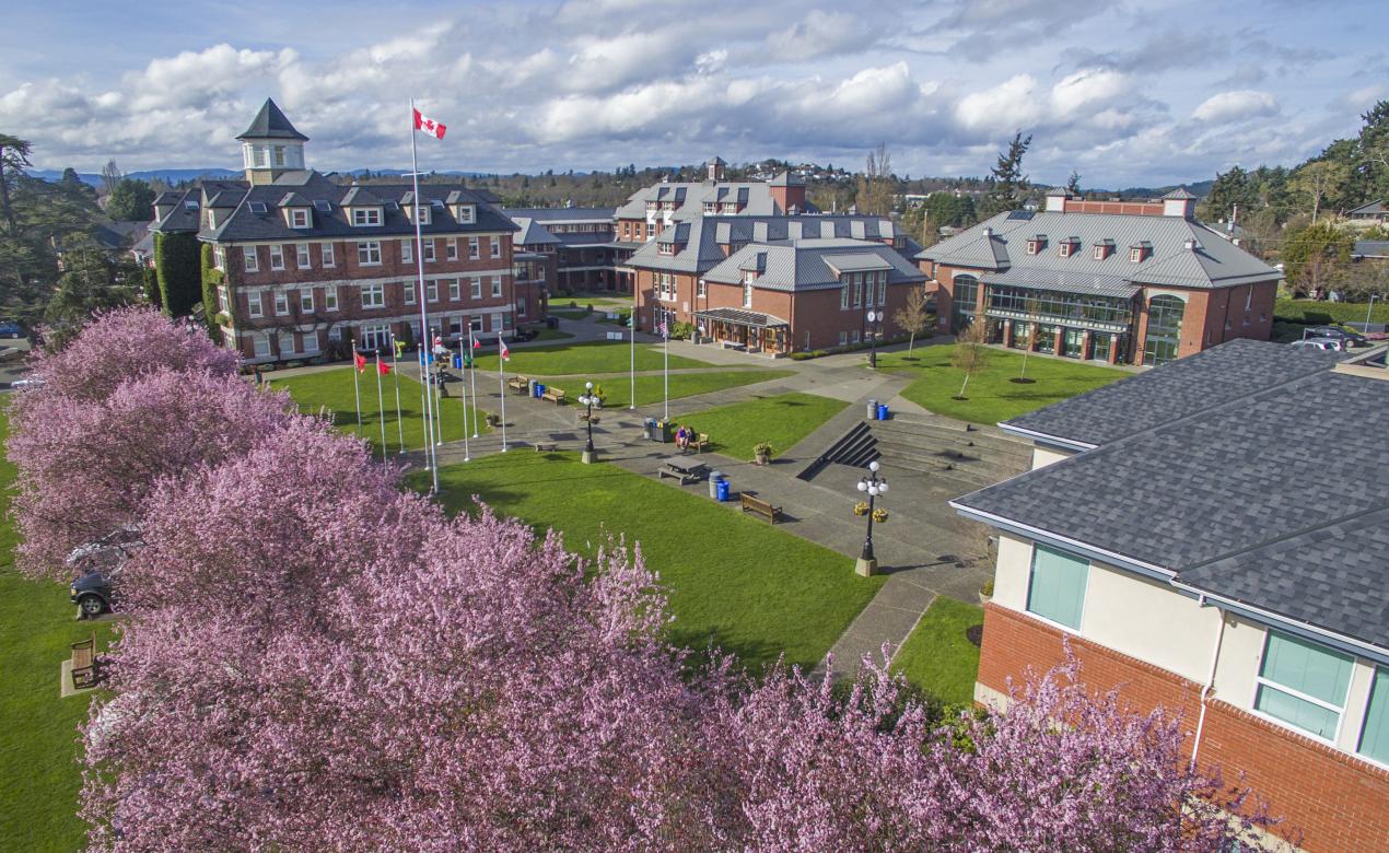 Spring blossoms on the Richmond Road Campus