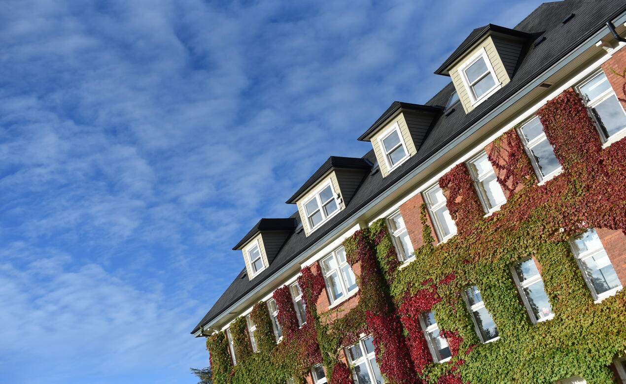 Autumn ivy on School House