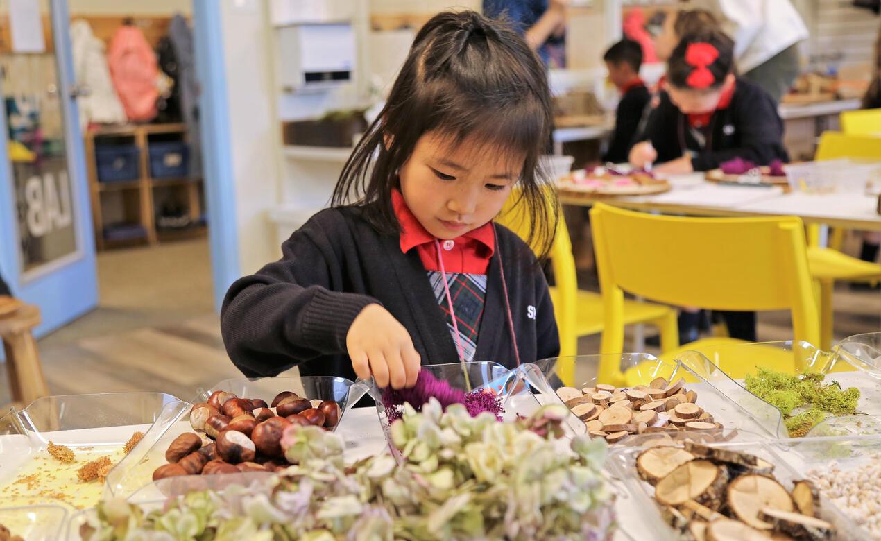 A Kindergarten student looks through collections of small natural materials for an art project in the Imagination Lab.