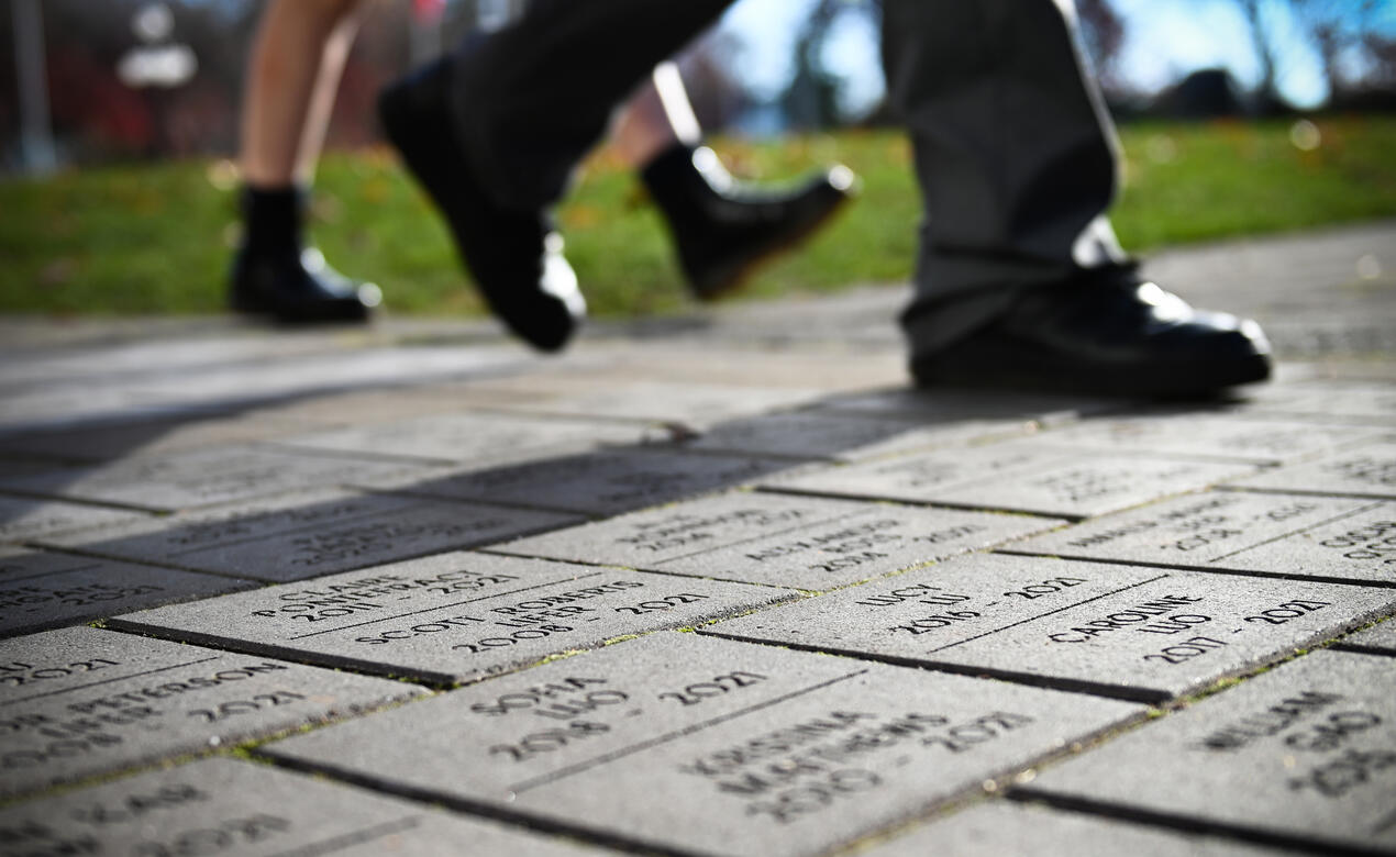 Heritage Walk bricks laid in the Crothall Quad