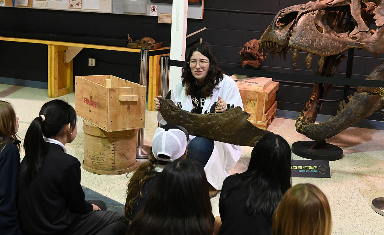 JS Grade 5 Dino Lab