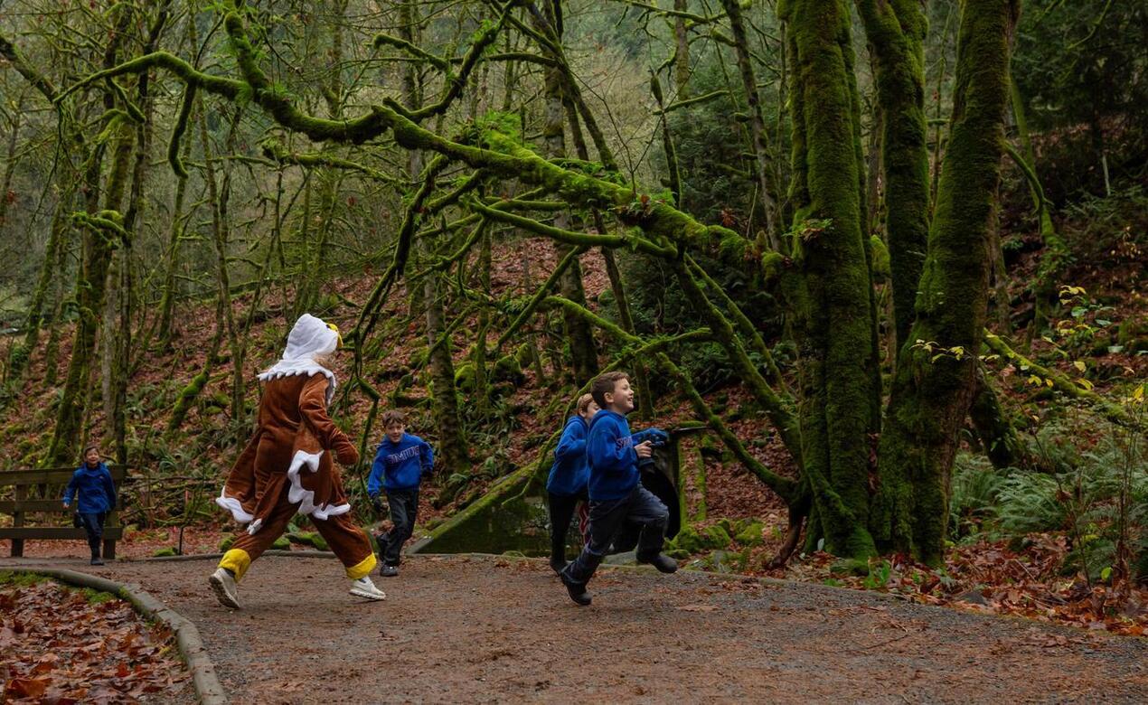 Grade 3 Students visit Goldstream Park for the salmon run