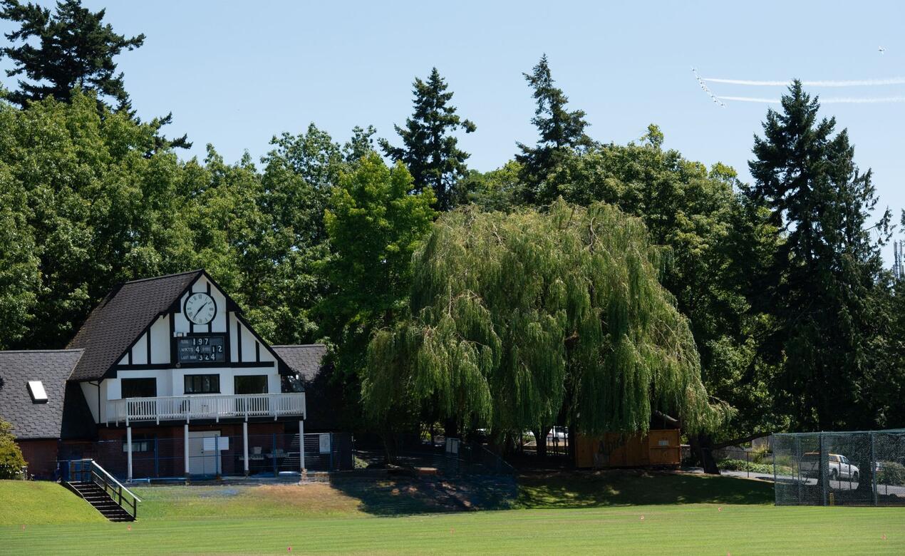 A large willow tree beside the Wenman Pavilion on a sunny day