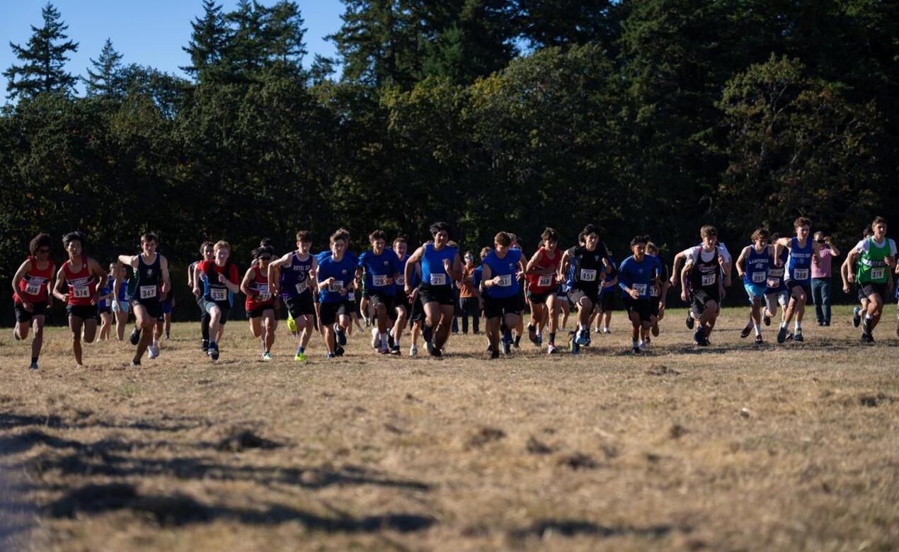 The start line of a senior cross country race. 