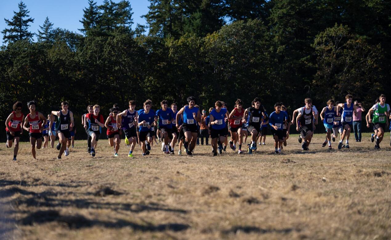 Cross country start line from 2025