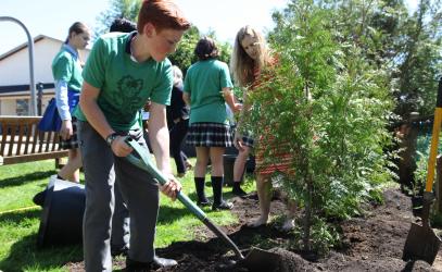 Middle School students planting young trees