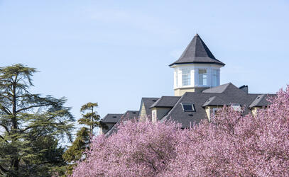 School House tower rising above the spring blossoms