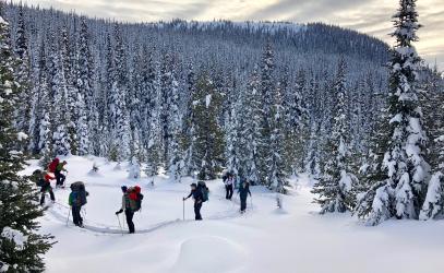 Experiential students winter hiking in Strathcona Park