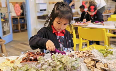 A Kindergarten student looks through collections of small natural materials for an art project in the Imagination Lab.