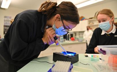 A Senior School student concentrates on using a handheld micropipette to transfer DNA into a gel electrophoresis system.