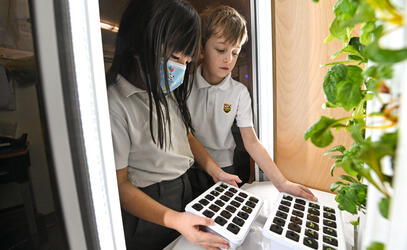 Grade 1 students look at seed pods growing in their vertical indoor garden.