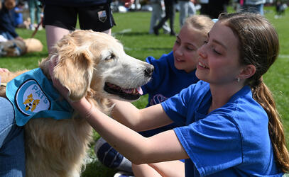 MS Wellbeing Week therapy dogs