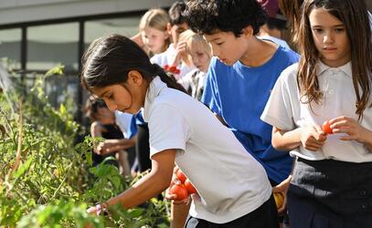 Junior School Gardening Club
