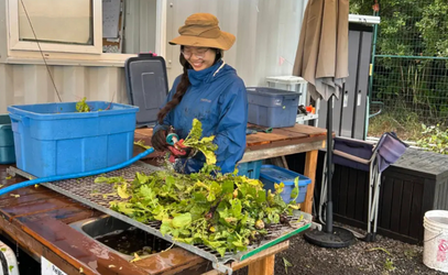 SMUS student Apollin Lu tends a garden