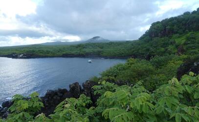 Spring Break trip to the Galapagos Islands