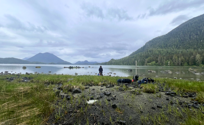 Meares Island