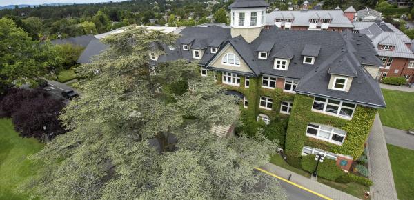 Drone photo of the blue atlas cedar and School House