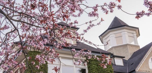 School House framed by cherry blossoms