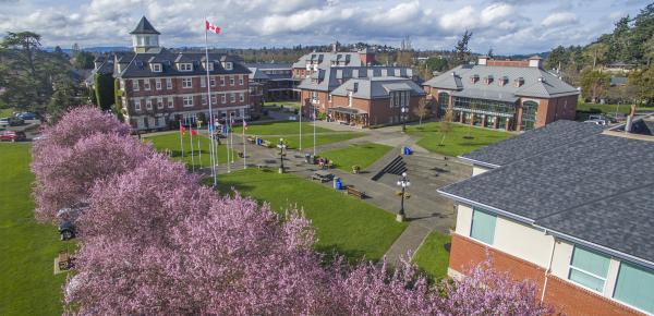 Spring blossoms on the Richmond Road Campus