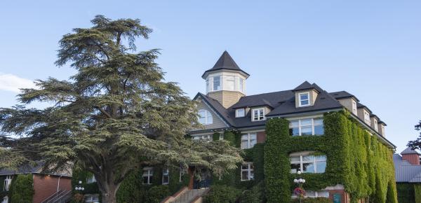 School House and the big blue atlas cedar