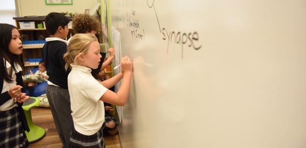 Junior School science class