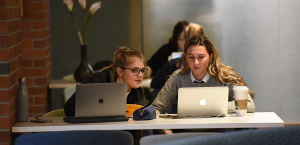 Senior School students studying in the Student Commons