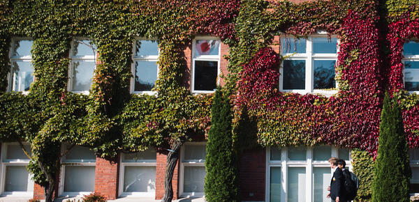 A photo of the side of the SMUS School House building covered in green ivy as a group of students walks past.