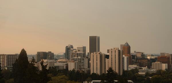 Skyline view of Portland Oregon from a hill