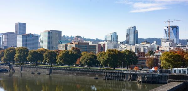 Portland Skyline during Daylight