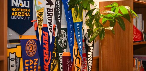 Senior University Counselling flags