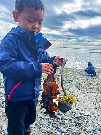 A student discovers takes interest in kelp washed up on the beach