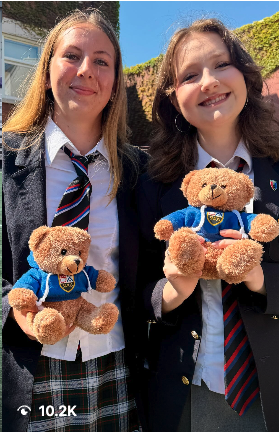 Senior Grad Instagram Cover - Grad Bear Transition