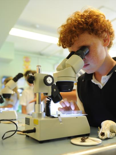 Middle School student using the microscope