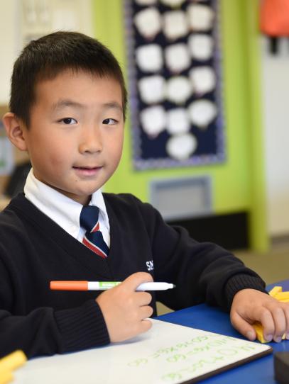 Junior School student doing math