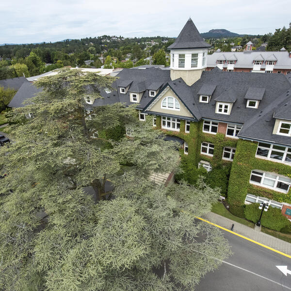 Drone photo of the blue atlas cedar and School House