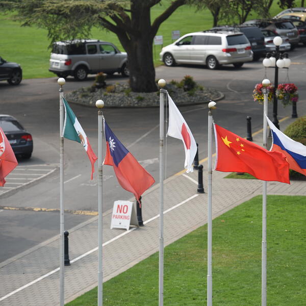 Country flags fluttering in the wind at the Richmond campus