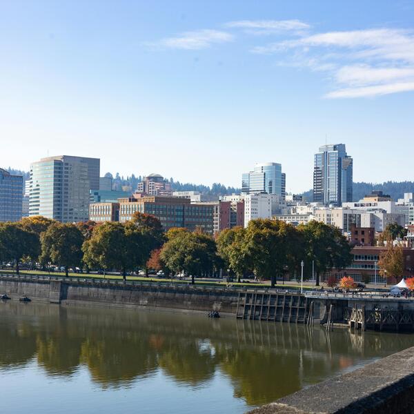 Portland Skyline during Daylight