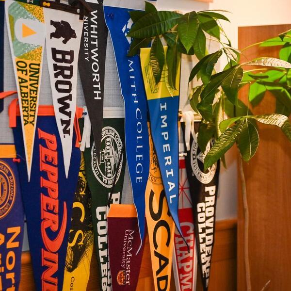 Senior University Counselling flags
