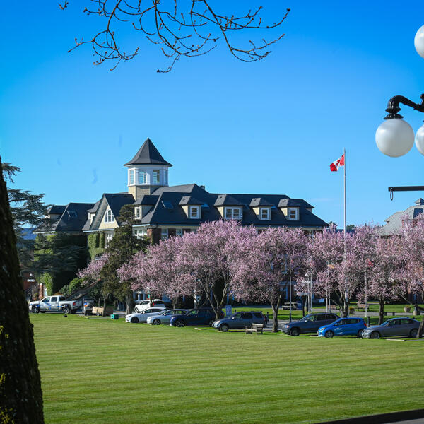 School House building stands a midst a line of cherry blossom trees across the field.
