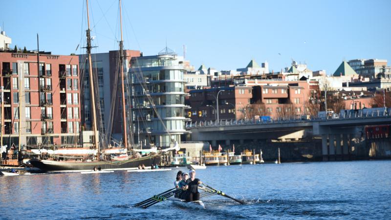 Students rowing in the Inner Harbour