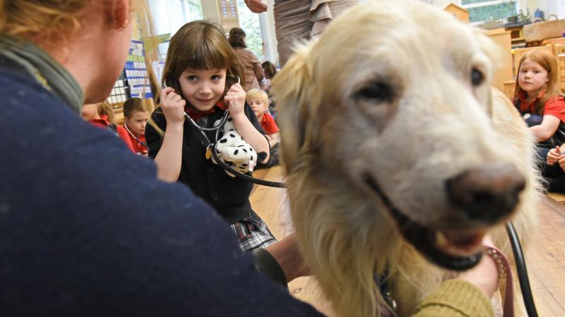 A Kindergarten student uses a stethoscope to listen to a dog's heartbeat during a science lesson.