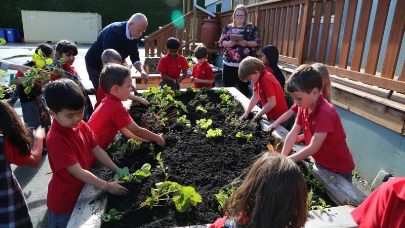 Kindergarten students planting a vegetable garden