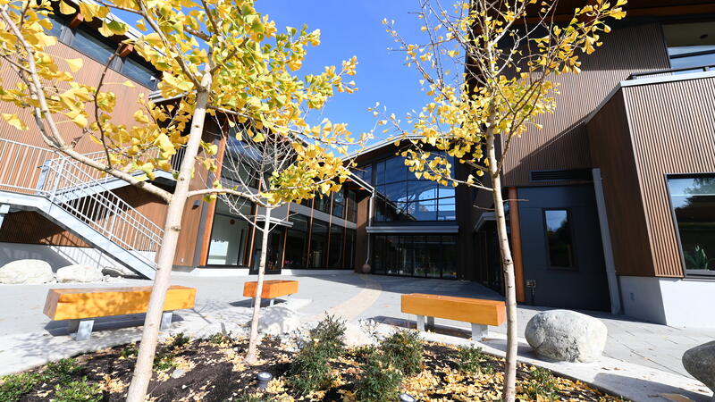 An exterior view of the Trottier-Morgan Annex at the Junior School with Golden trees in the foreground. 