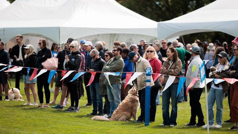 2025 Alumni Weekend fans watch the rugby game