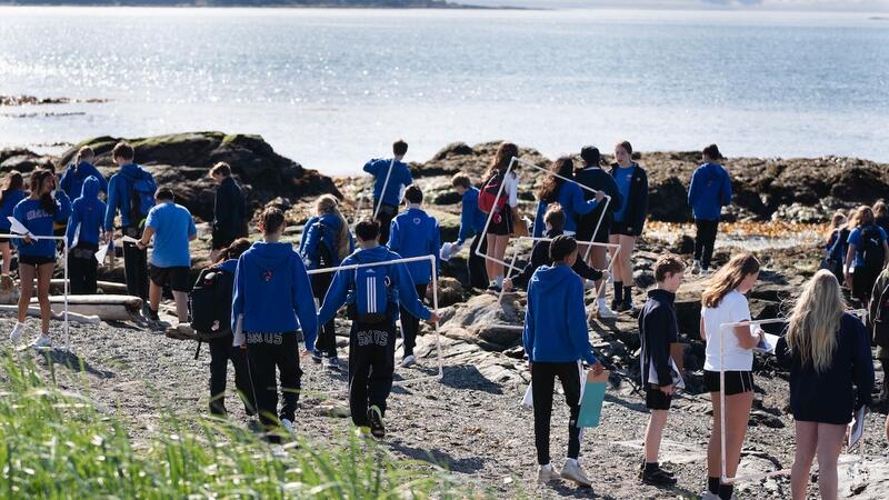 Middle Grade 7 Science Project Cattle Point