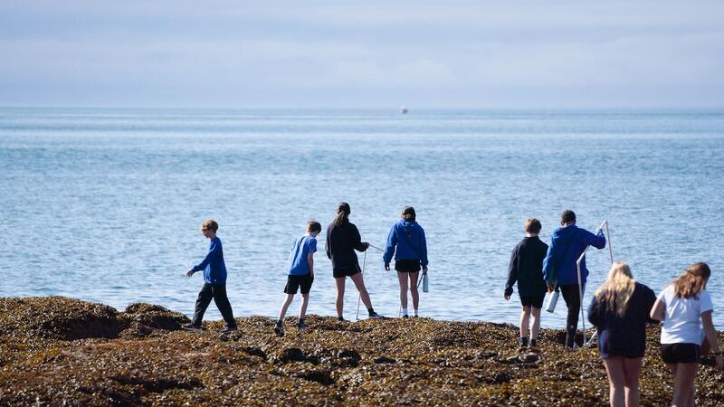Middle Grade 7 Science Project Cattle Point