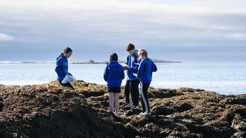 Middle Grade 7 Science Project Cattle Point