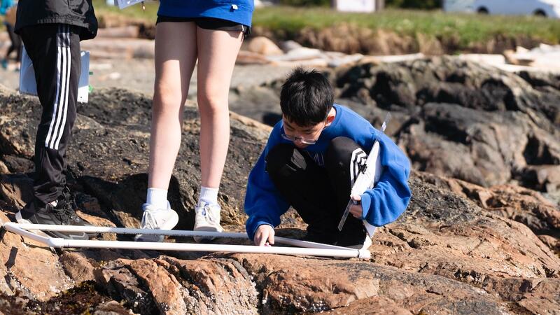 Middle Grade 7 Science Project Cattle Point
