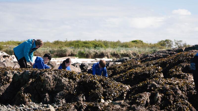 Middle Grade 7 Science Project Cattle Point